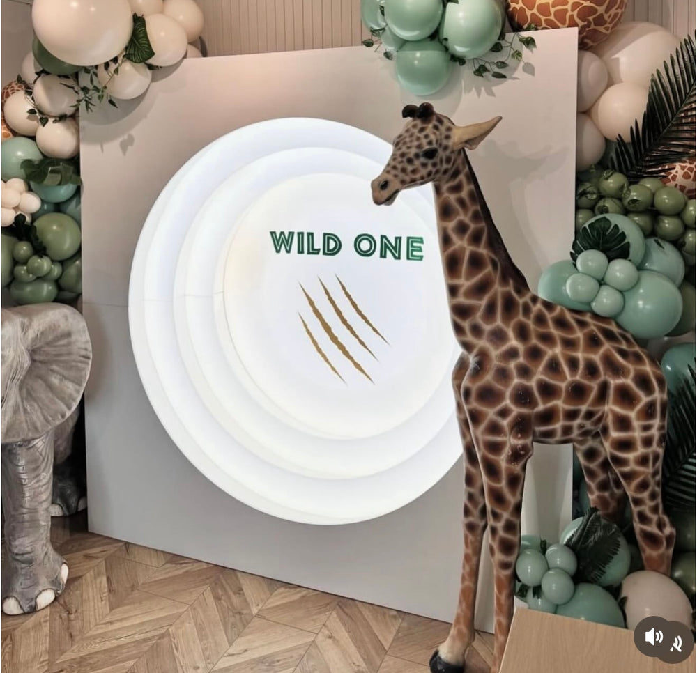 3D Light-Up Circle Backdrop